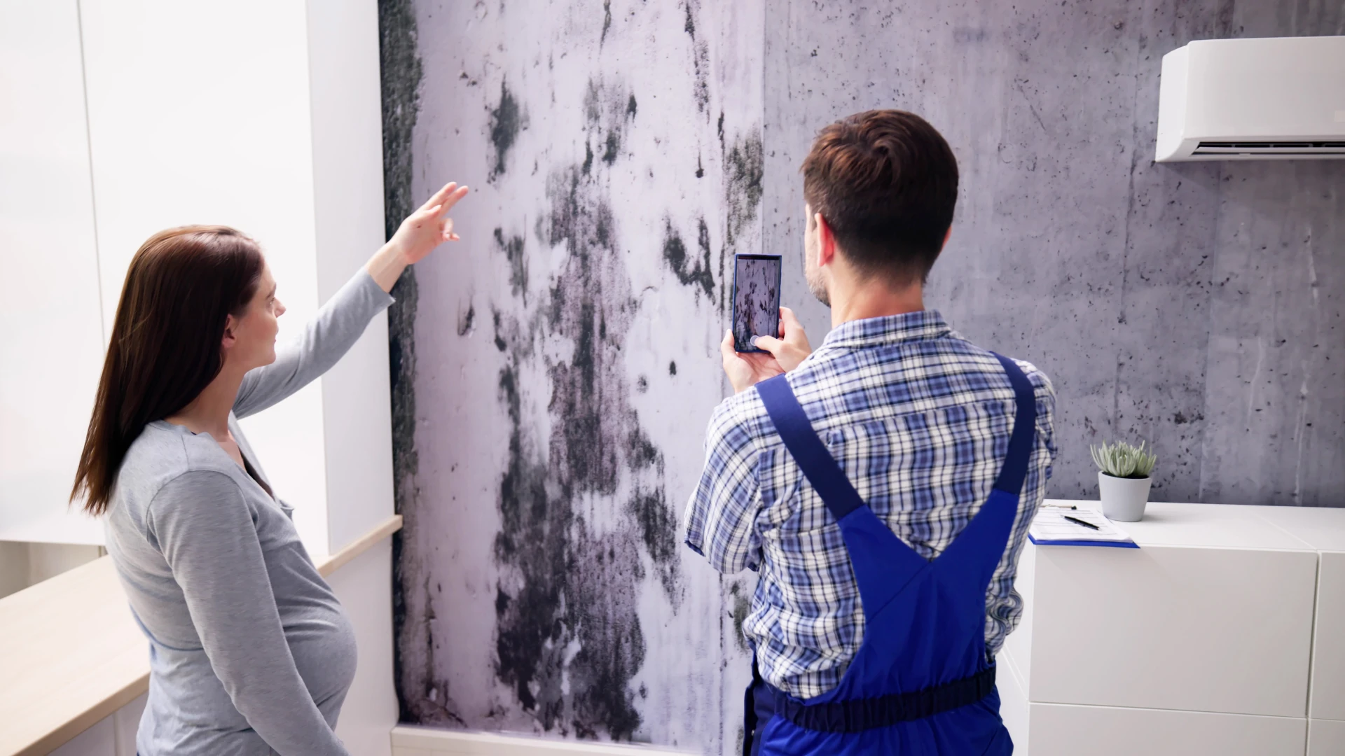 Common Rental Repairs in Jupiter Homes