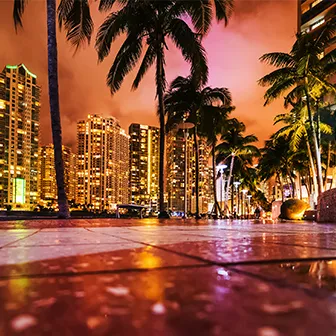 Miami Thumbnail
