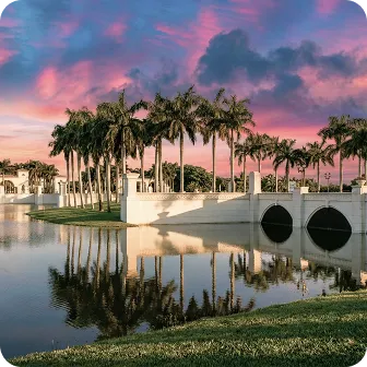 Wellington Thumbnail